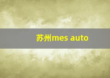 苏州mes auto